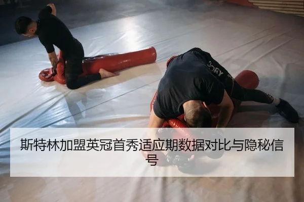 si-te-lin-jia-meng-ying-guan-shou-xiu-shi-ying-qi-shu-ju-dui-bi-yu-yin-mi-xin-hao-2-914.jpg
